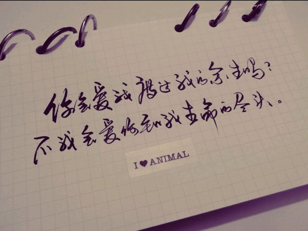 徐志摩:一生至少该有一次,为了某个人而忘了自己