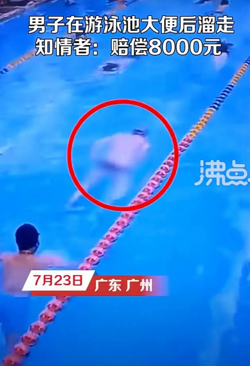 男子在泳池中边游边大便商家报警#  太恶心!