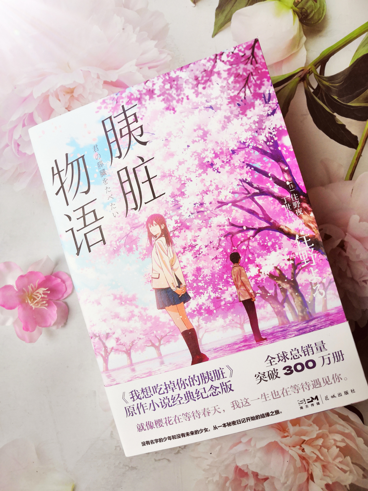 《胰脏物语》:这本熬夜读完的小说,太感人哭得我稀里哗啦