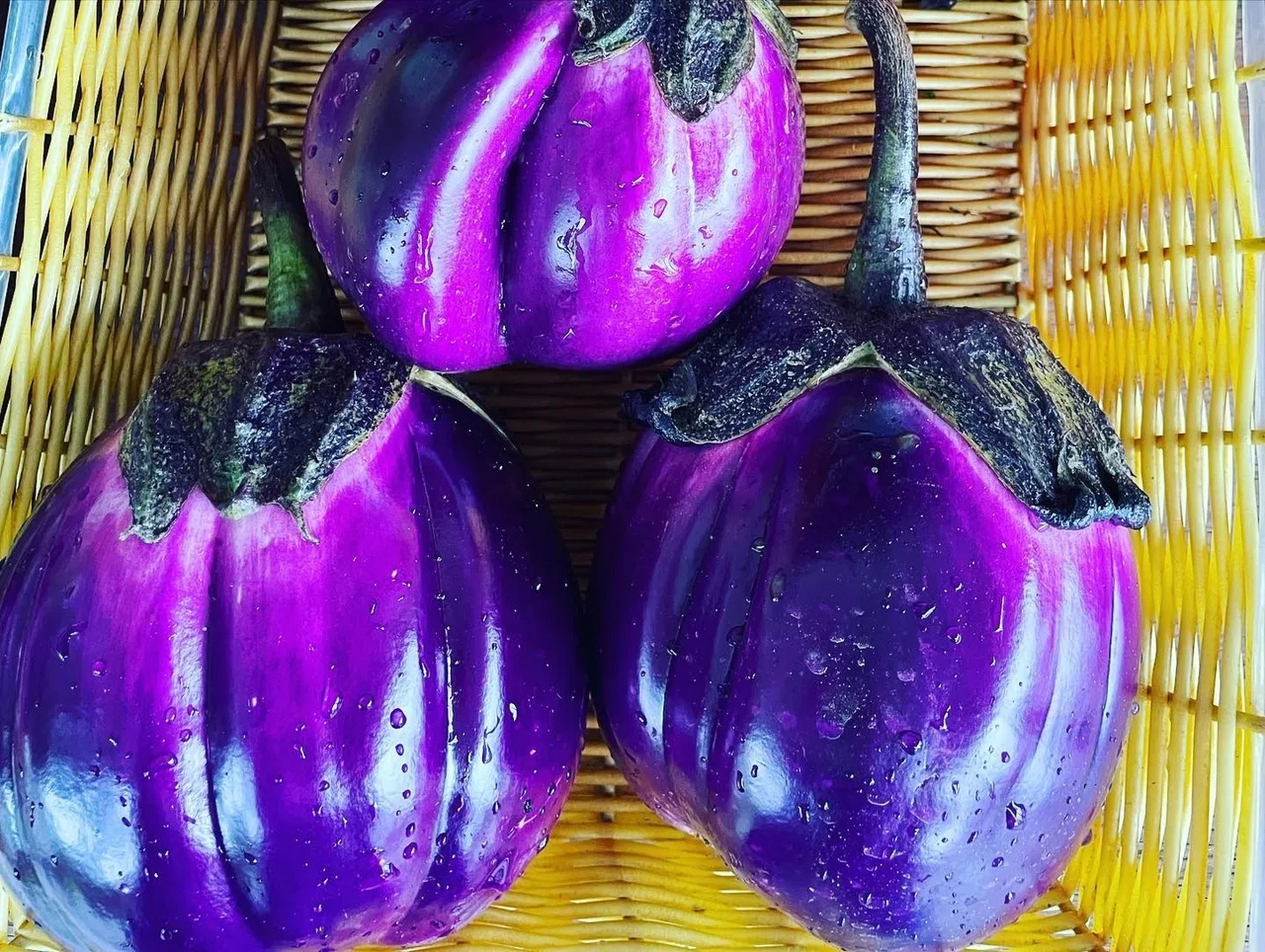 你们看一下市场卖的这种茄子能不能吃?到底是不是转基因?