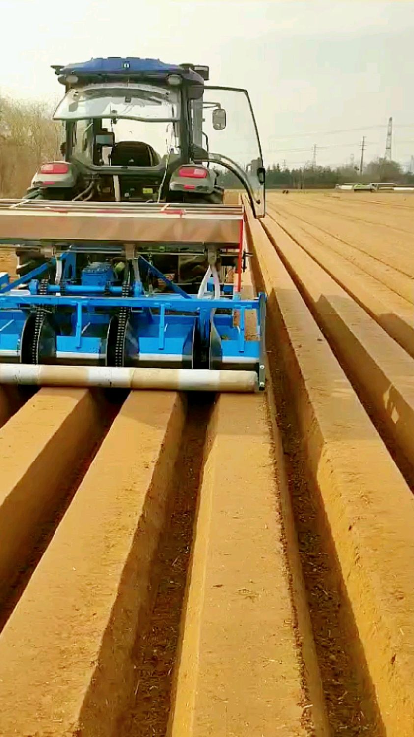 大面积种植大葱还得机械化作业一次开沟起垄四行提高效率节省人工