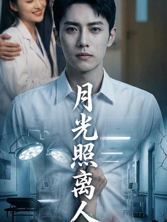 月光照离人