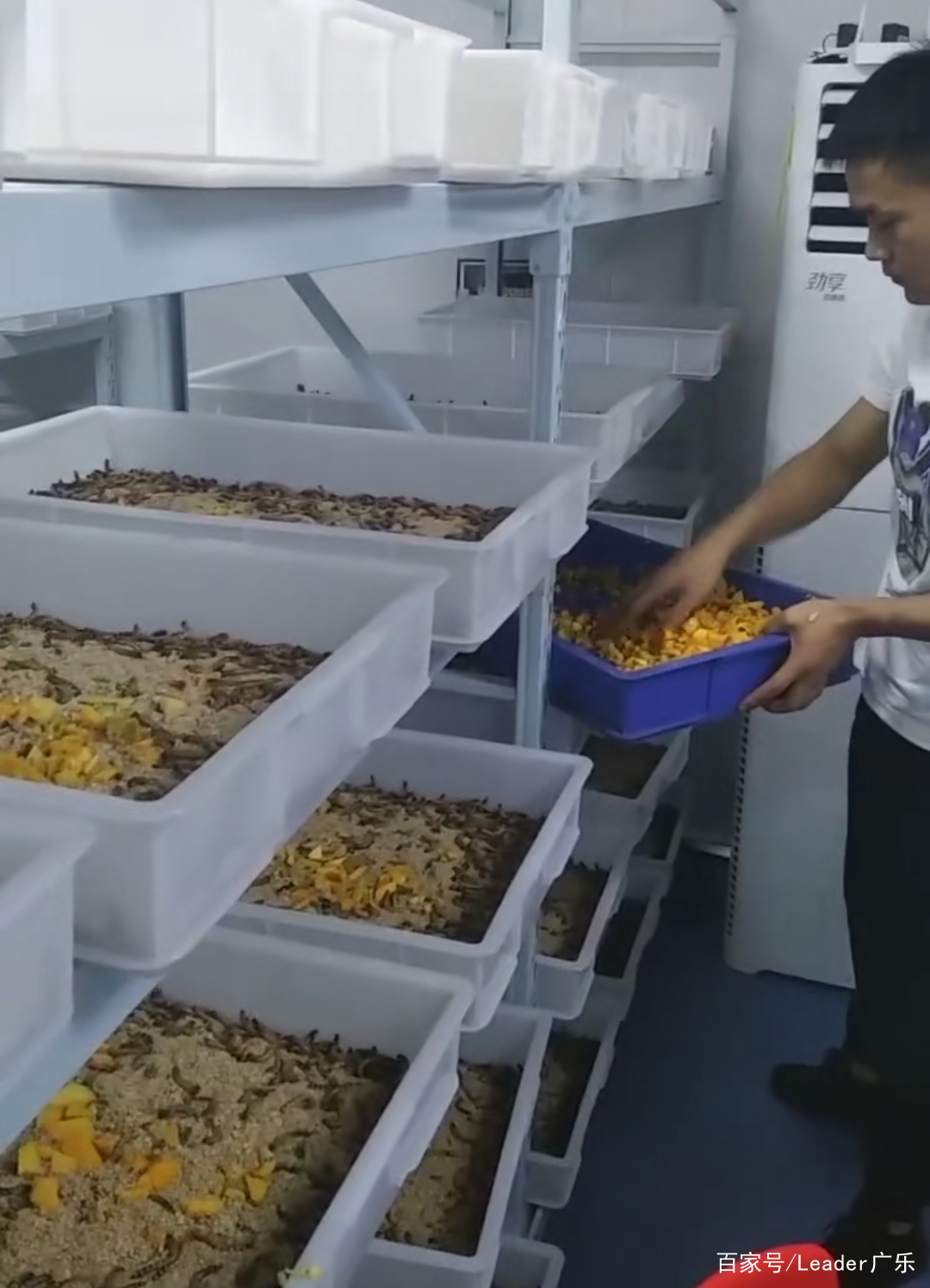 小型加工厂年赚百万的有哪些(不愁销路的小型加工厂 一万元)
