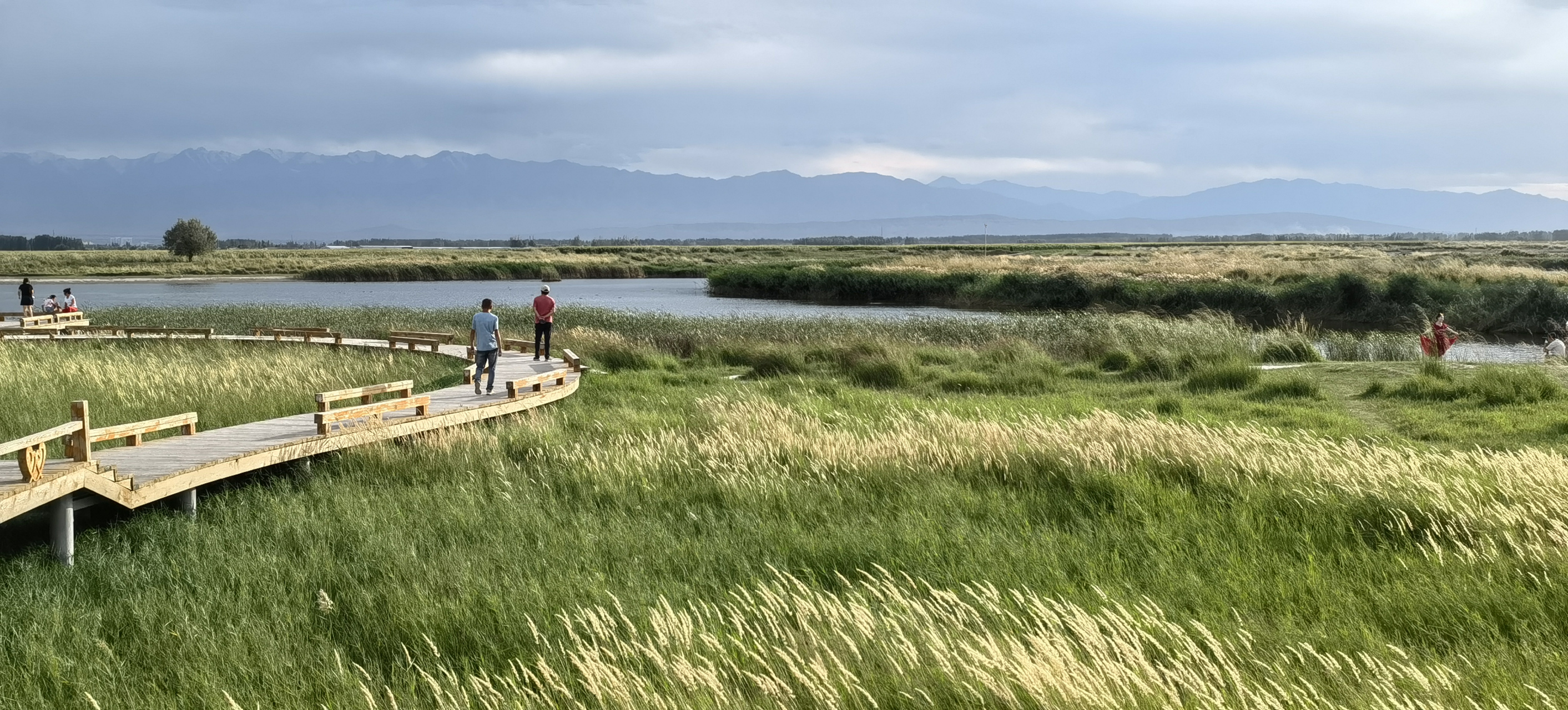 醉美酒泉—湿地公园