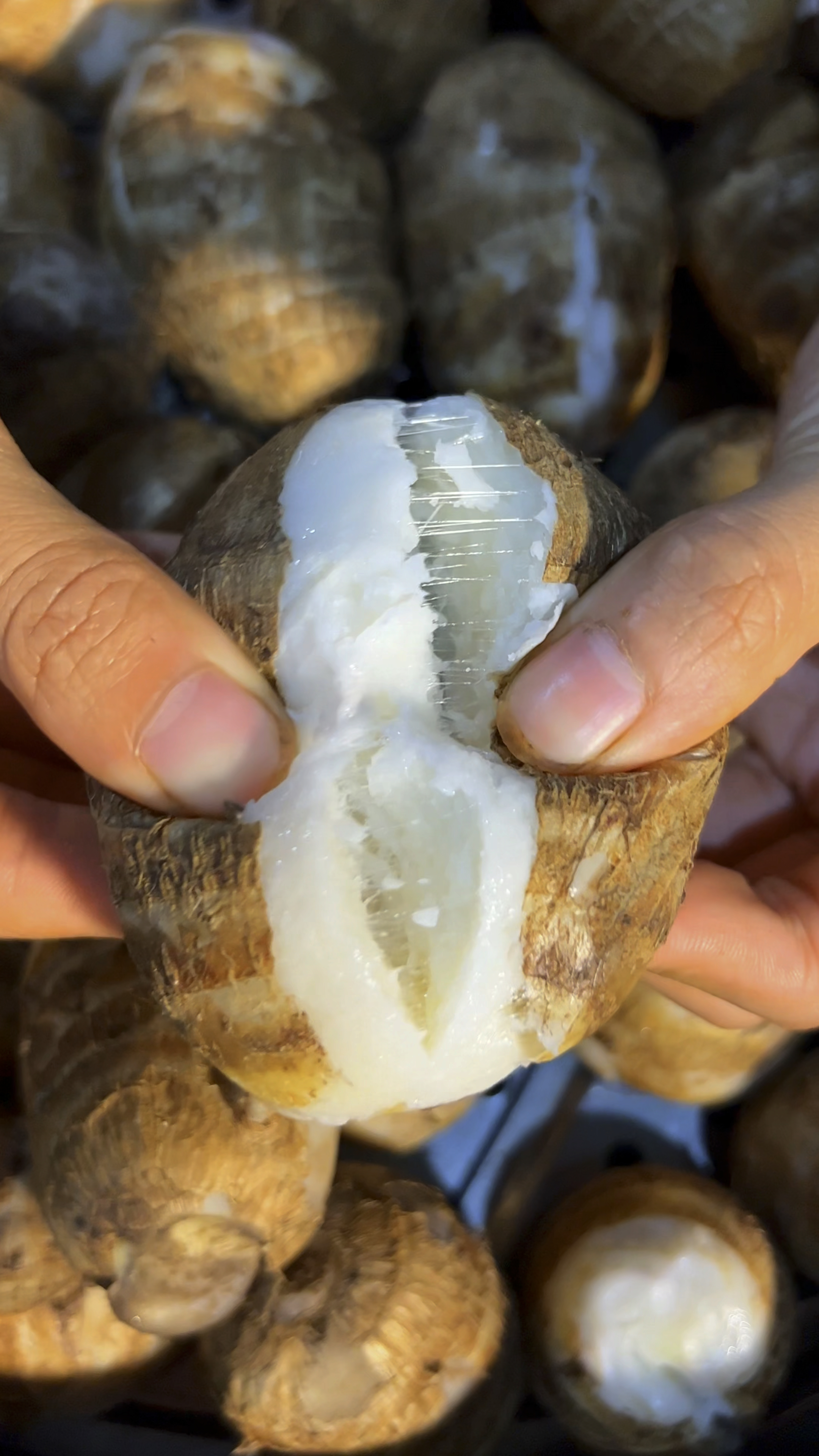 软糯好吃,有坏包赔!牛奶芋头,一口下去,浓郁的牛奶香