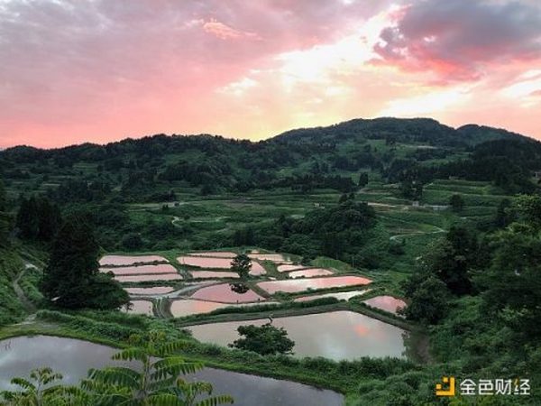 800人的小村庄缘何发行NFT