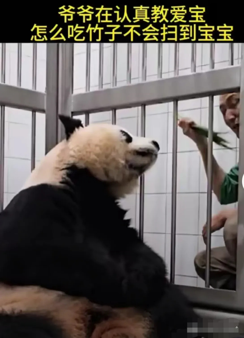 众所周知,宋宝的唠叨碎碎念在唠叨界也是相当称王的存在!