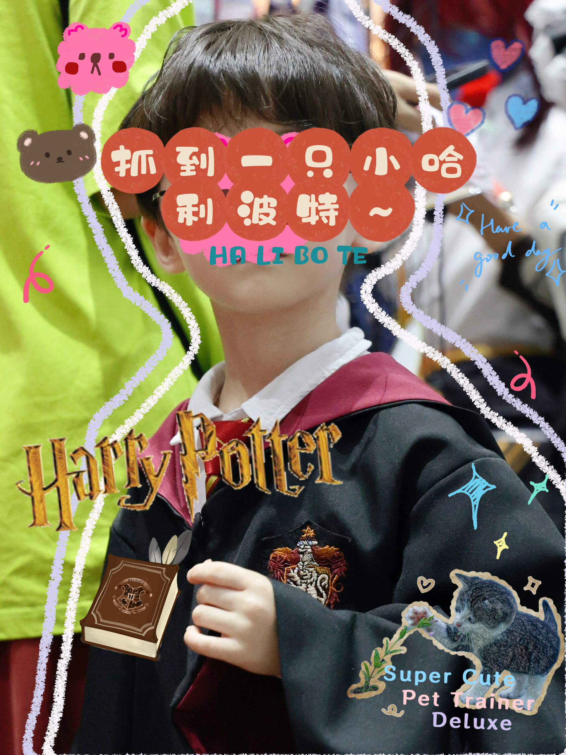 抓到一只小哈利波特～ 天啊,这只mini小哈利波特也太可爱了 谁能拒绝