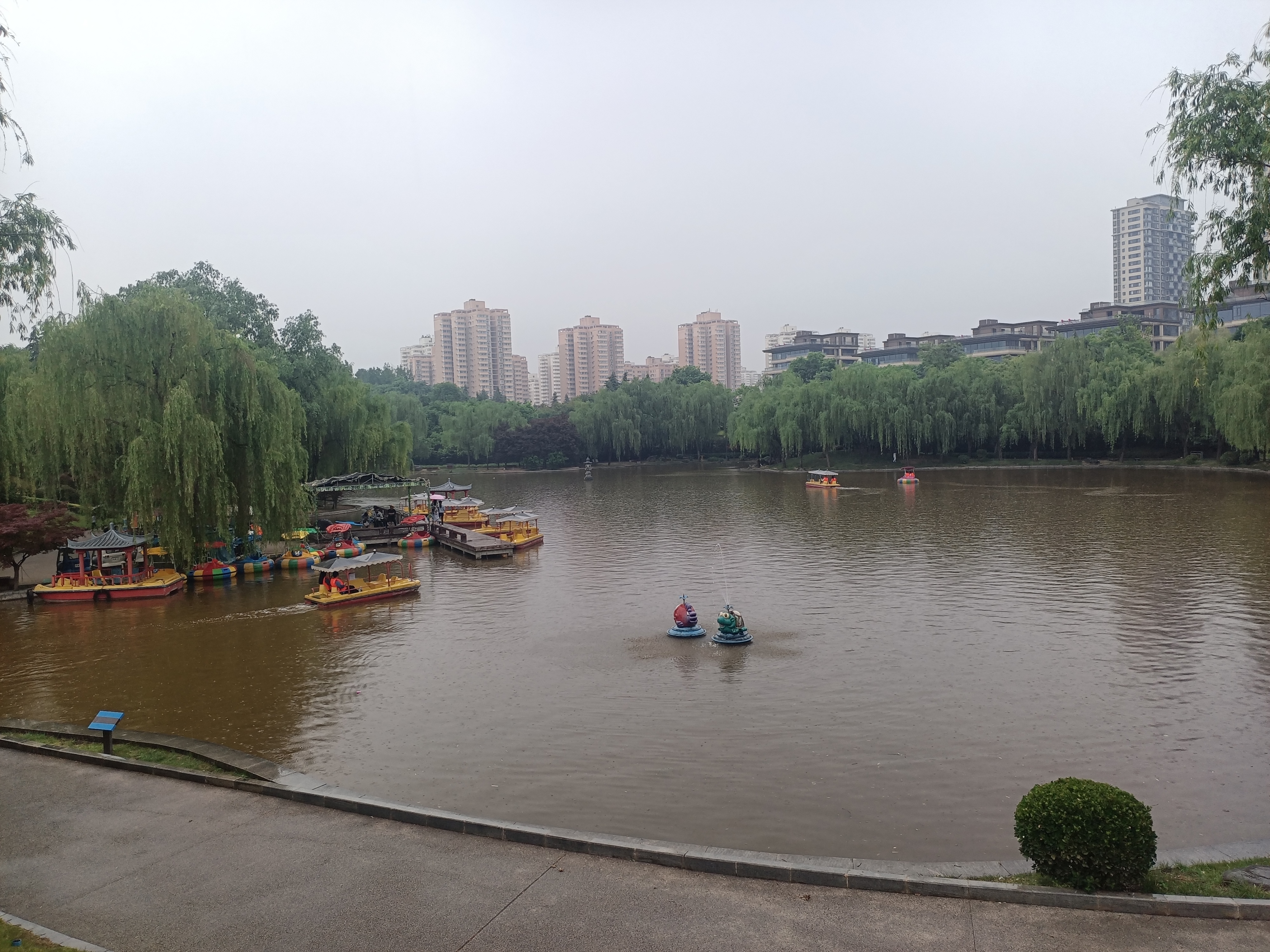 夏天的景色 雨后图片