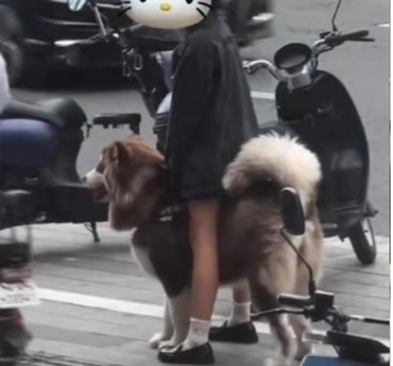 骑狗烂裤裆[大笑]