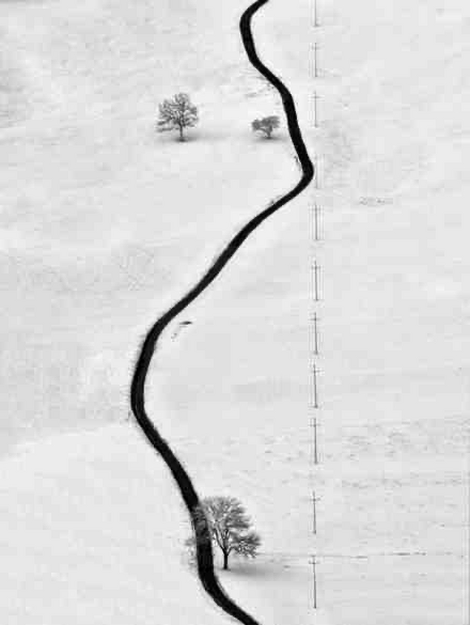 我们皆是赶路的众生,泪笑掺杂,悲喜交织,没有谁欢乐可以长久,执手再紧