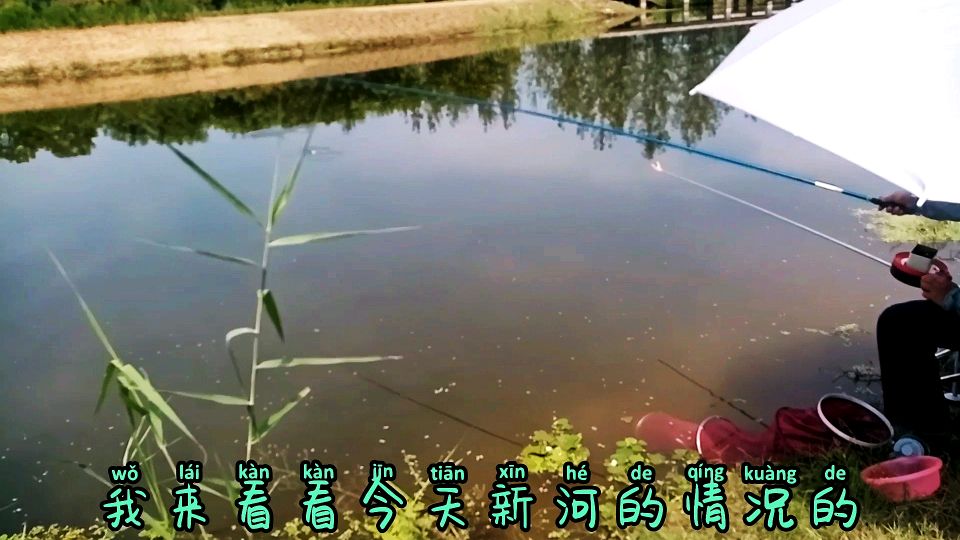 鱼情不稳定的钓点,小鳊鱼又长大了一些,蚌埠市淮上区新河野钓