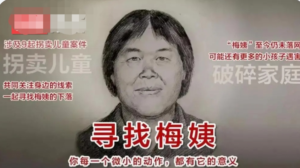 张维平被核准死刑,可"梅姨"在哪里?