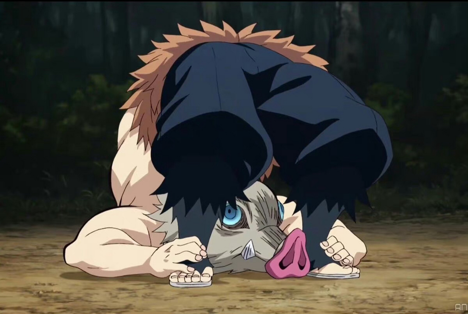 鬼灭之刃# 4月22日是漂亮猪猪嘴平伊之助的生日,让我们一起祝猪猪