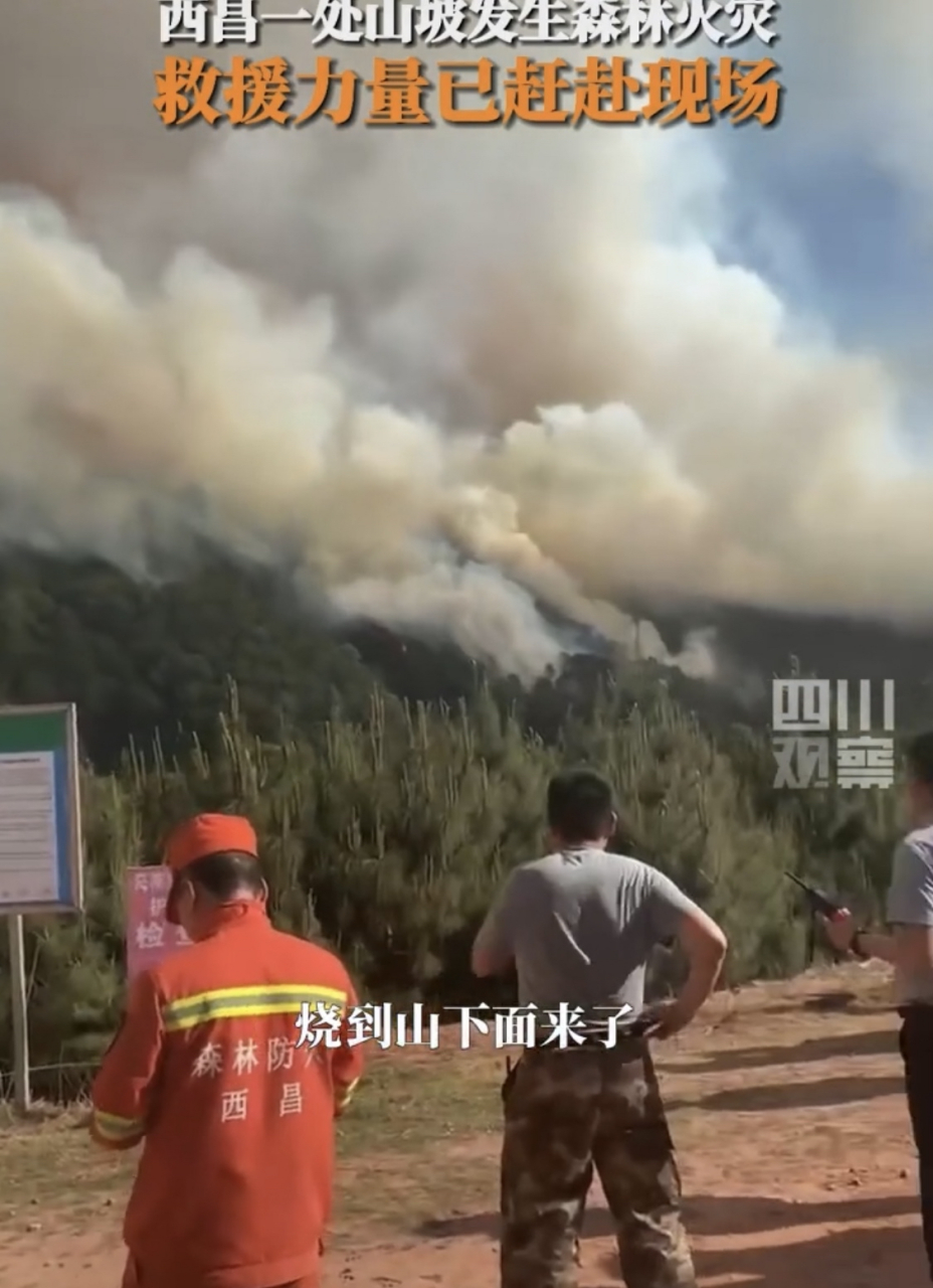 西昌一处山坡发生森林火灾救援力量已赶赴现场
