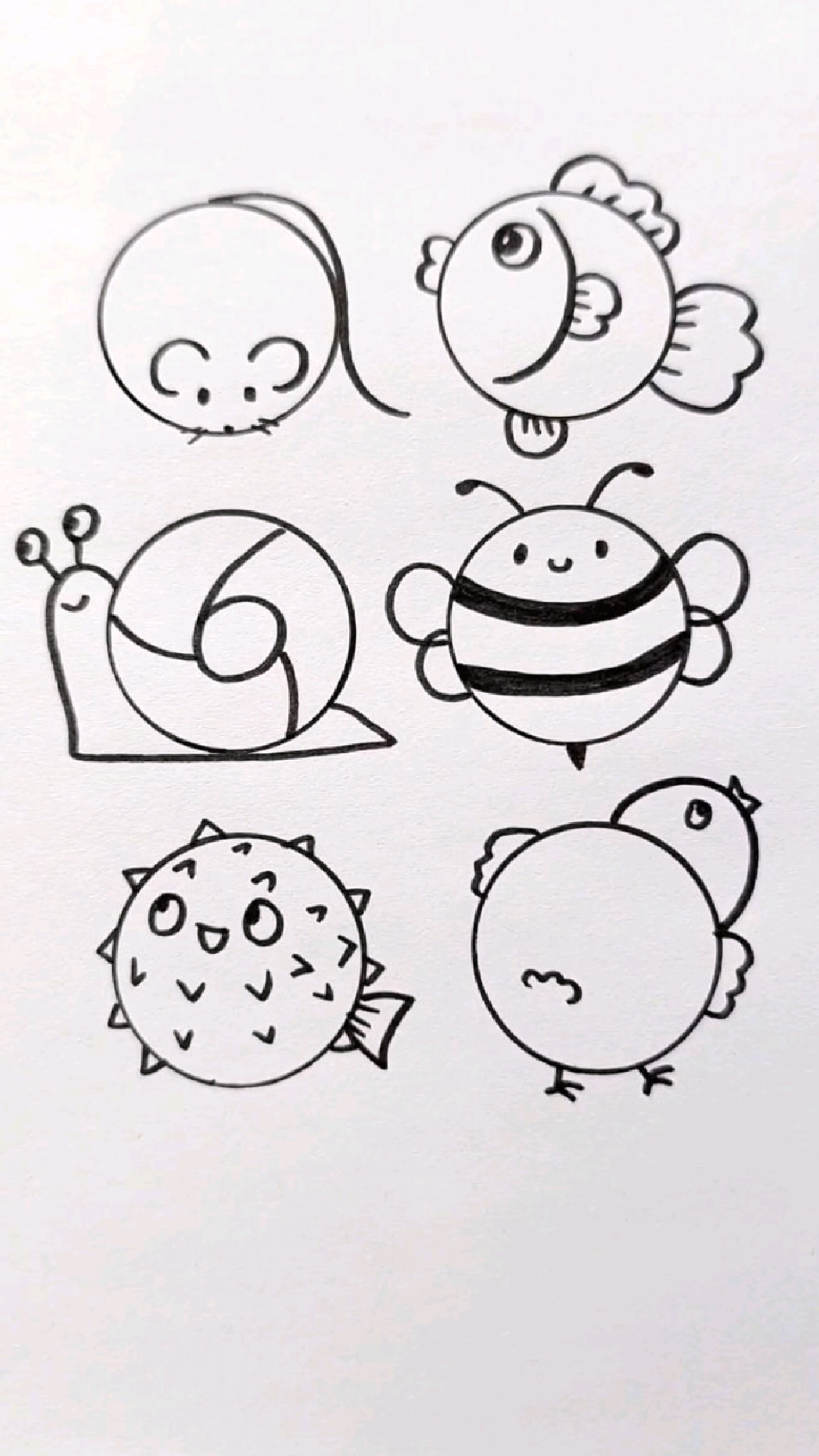 圆圆的小动物简笔画图片