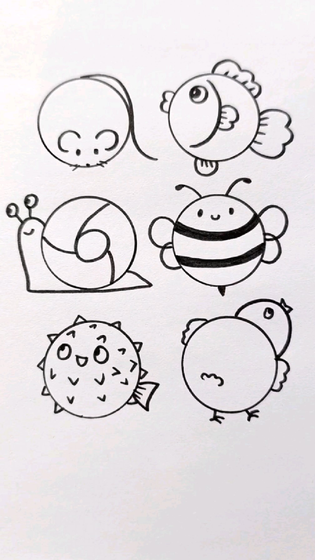 用圆圈画各种可爱的小动物,创意简笔画