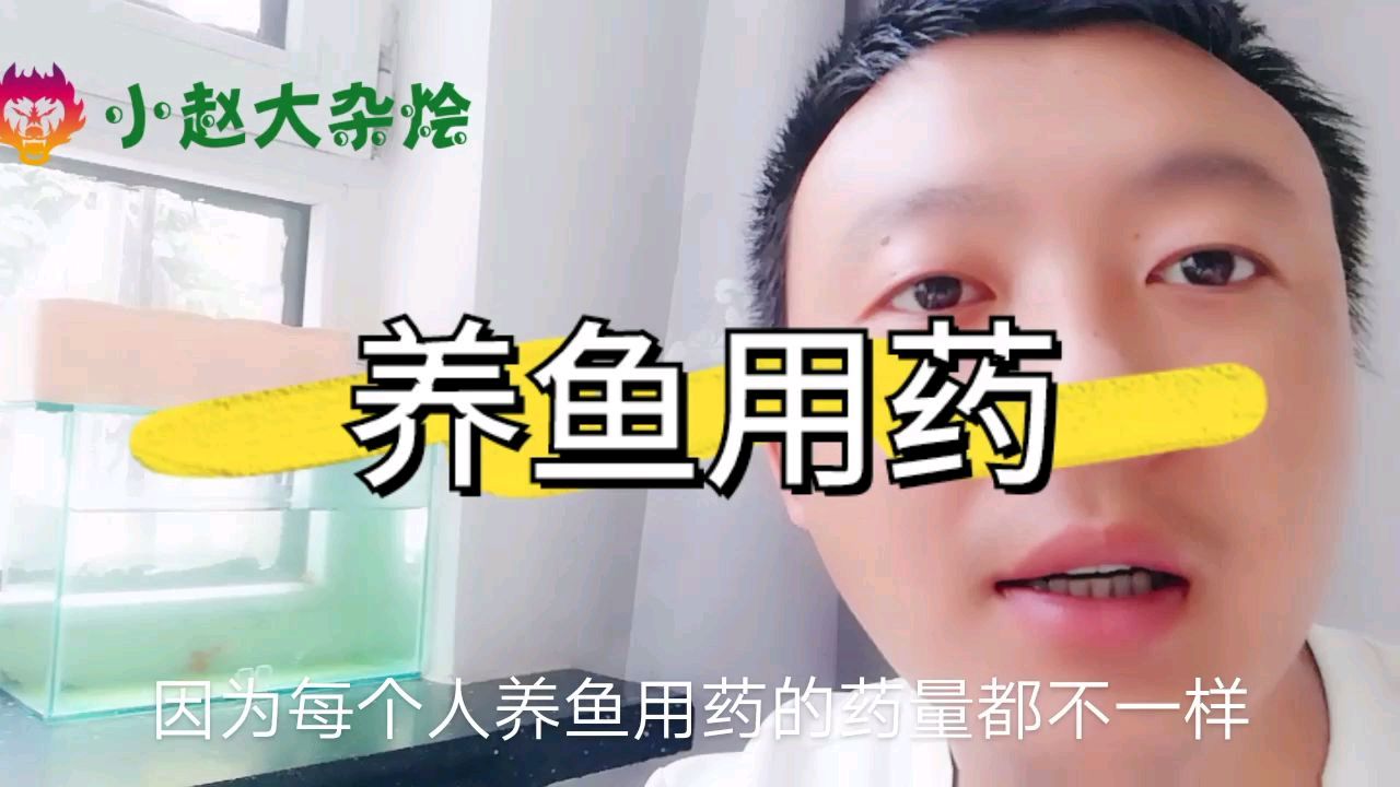 分享观赏鱼常用药的参考用量