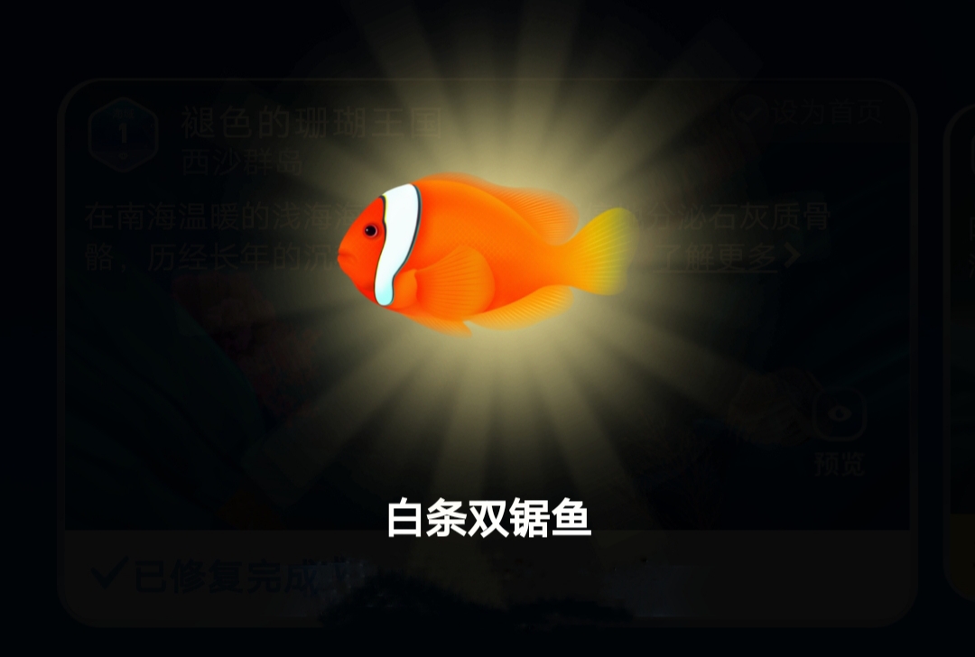 白条双锯鱼又名小丑鱼