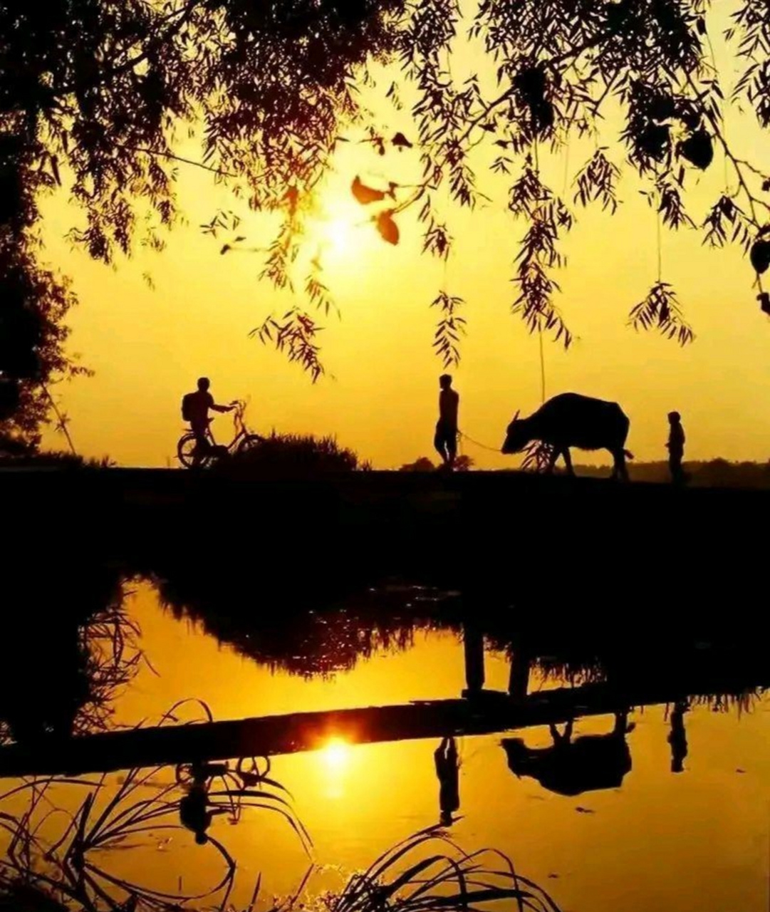 乡村美景:乡约黄昏后,几度夕阳红