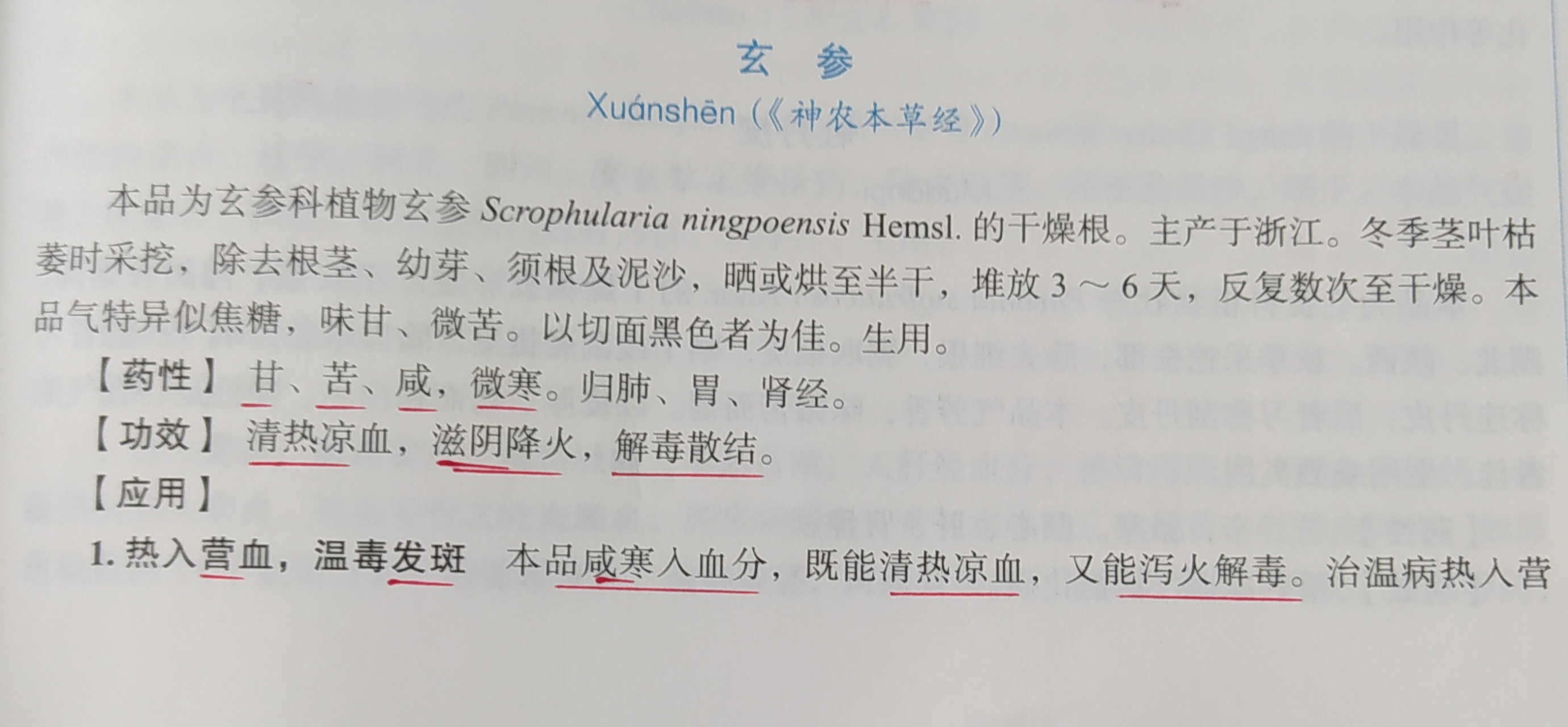 玄参一一具有清热凉血,滋阴降火,解毒散结之功效