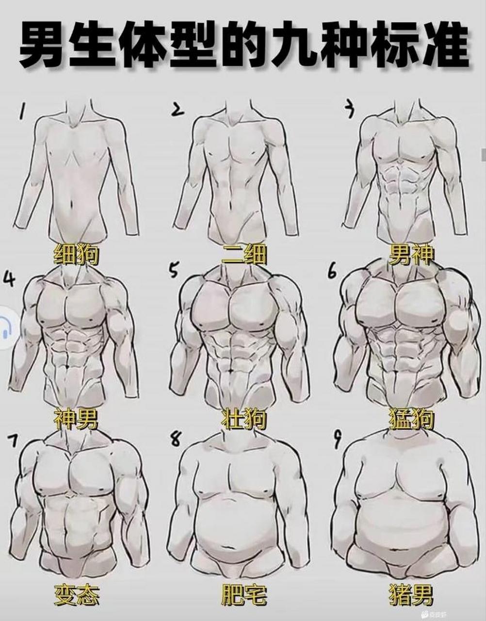 男生体型的九种标准
