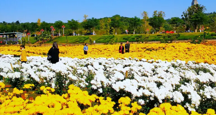 云南开远旅游景点