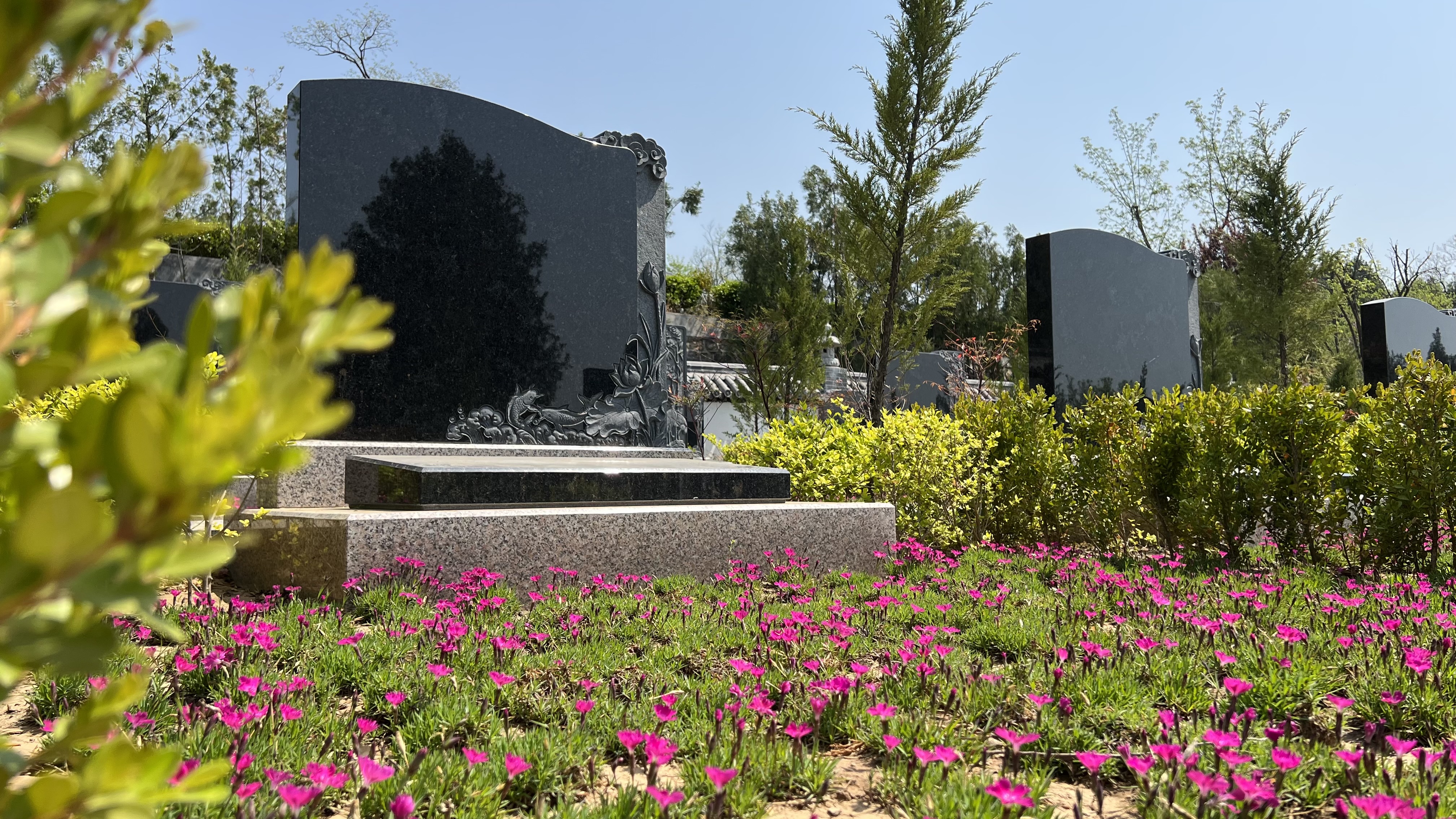 秋思网 怎样以优惠价格购买墓地|峄城莲花山公墓|新华市场销售处