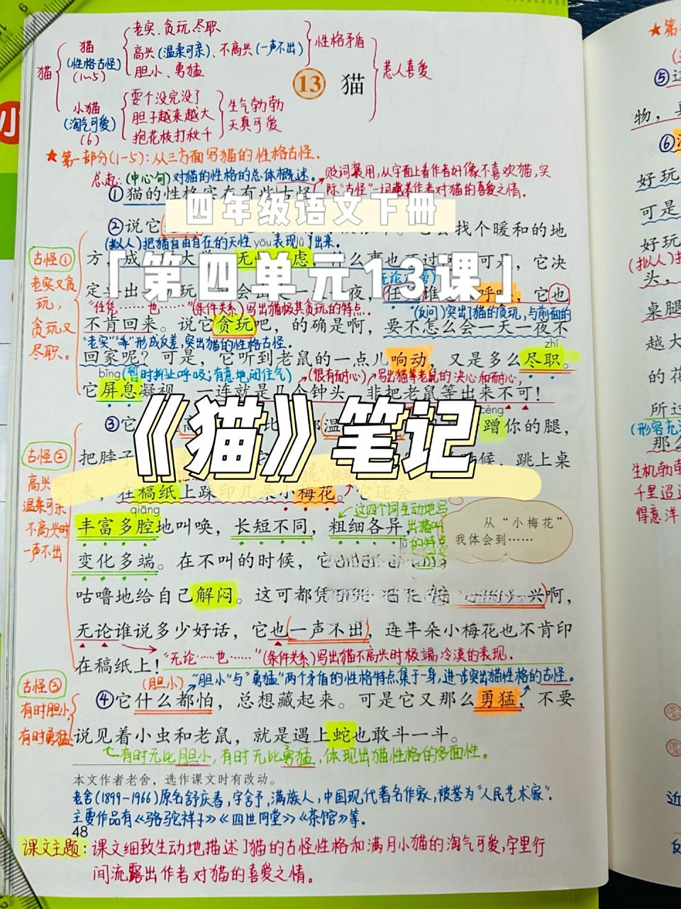 四下7813《猫》课堂笔记-2023版四下语文笔记 你们说生字组词太少