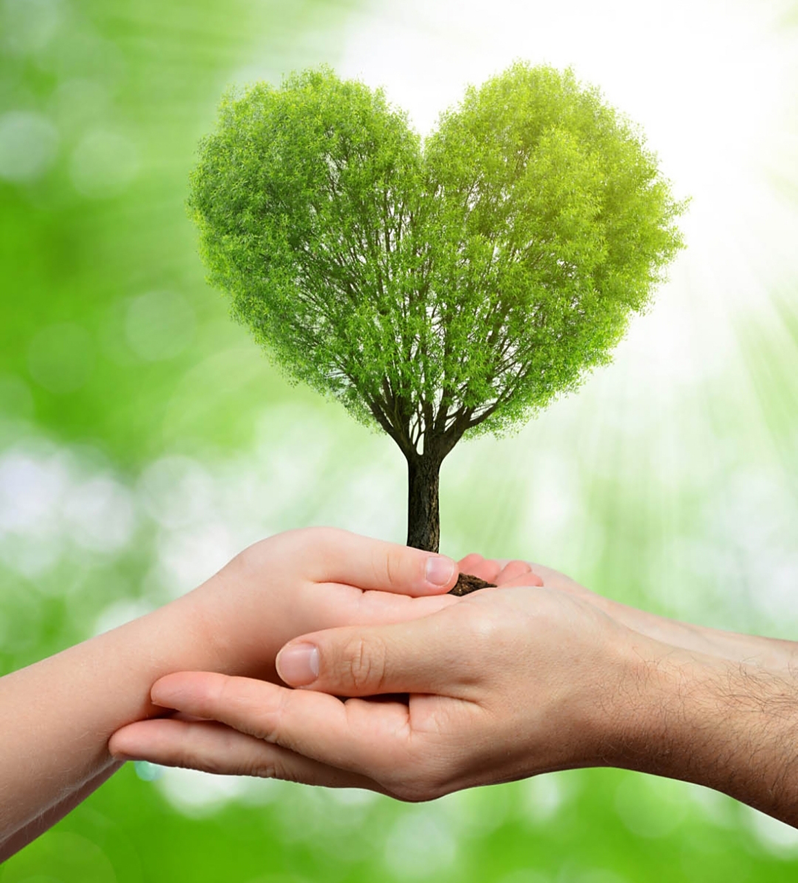 发现没有,现在越是对孩子呵护有加,孩子的心灵越脆弱