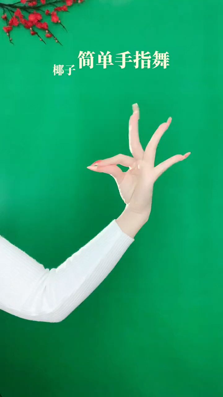 手势舞《一生最爱的是你》