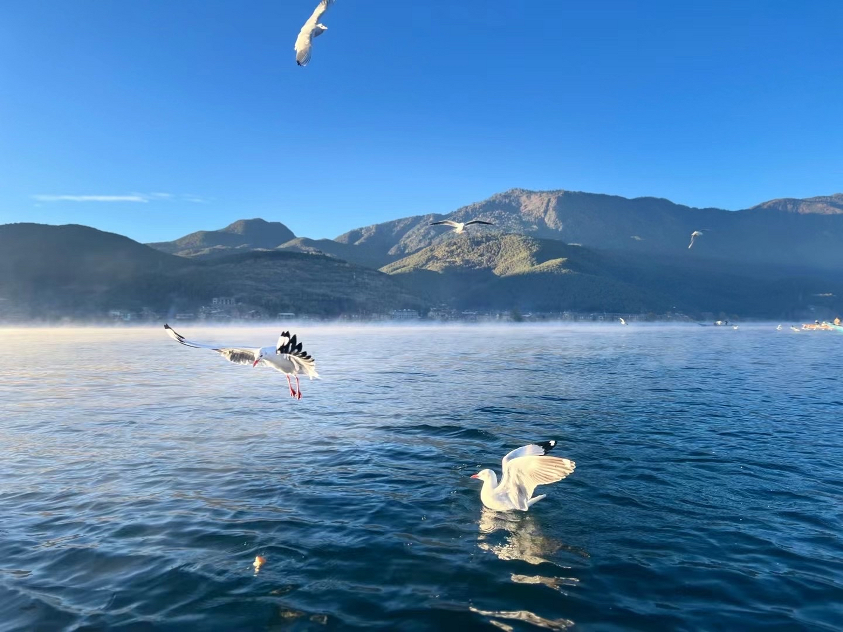 顺其自然风景图片图片