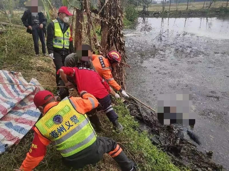 痛心!阳春潭水一老人失联后,在鱼塘里被找到