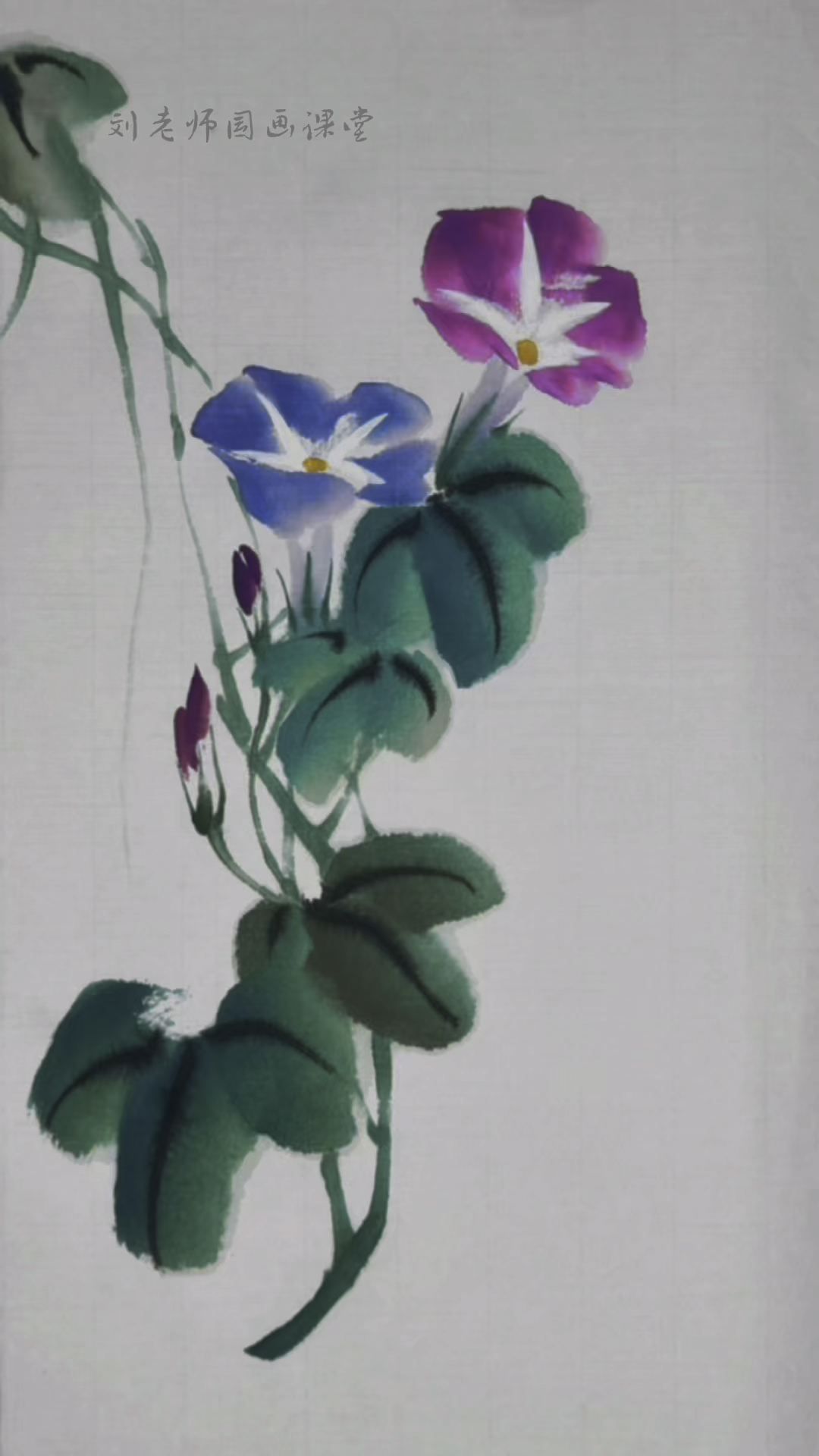 【国画教程】写意牵牛花的画法-度小视