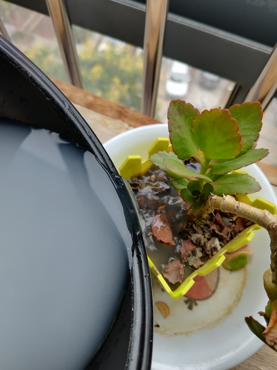 淘米水我不会直接倒掉,用来浇绿植,洗菜都很好的.