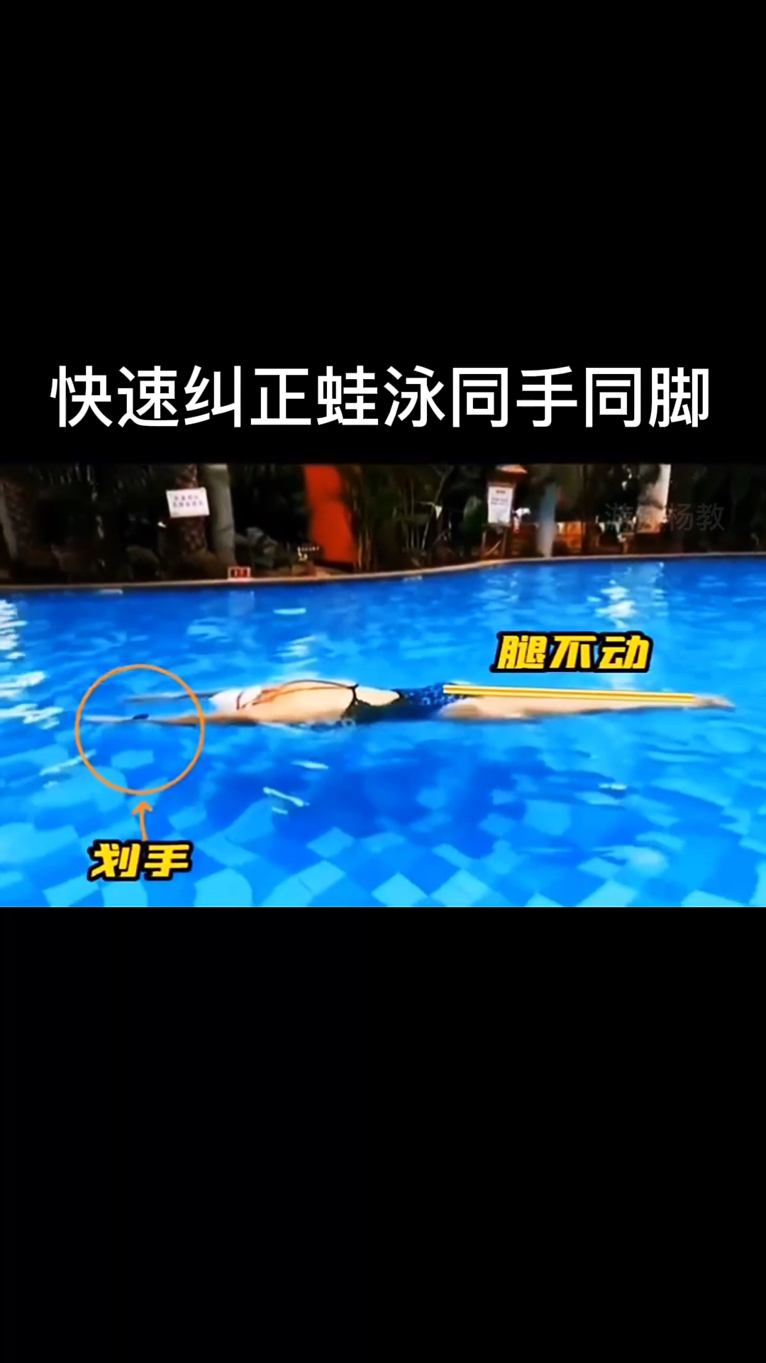 蛙泳同手同脚动作快速纠正教学