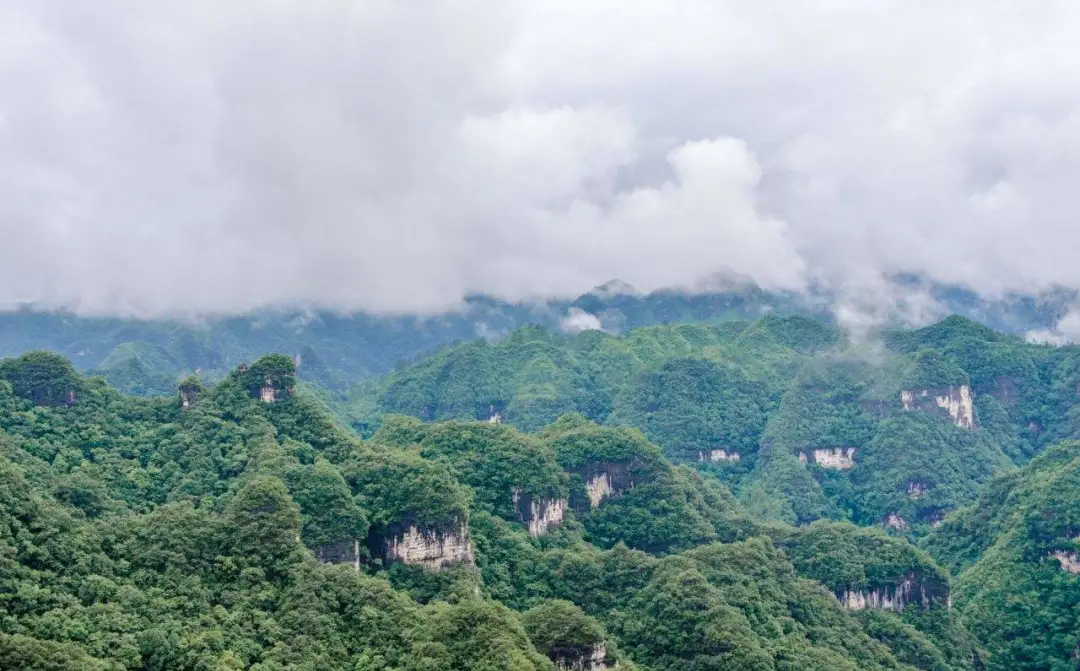 你知道贵州不为人知的美丽风景吗?黑冲景区,云海缭绕,夕阳成霞
