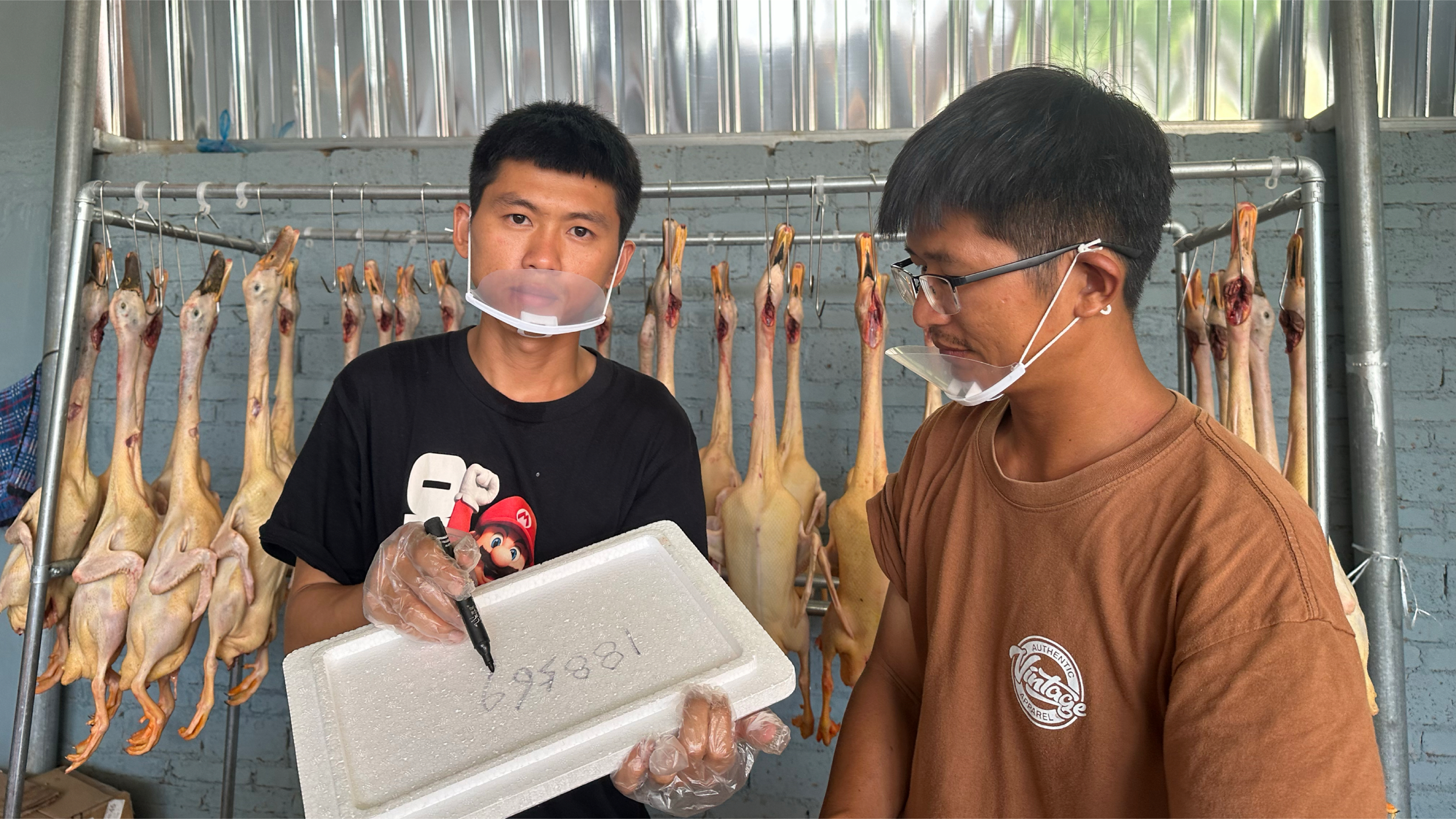 阿旺和大哥养的海鸭卖了,本是亲兄弟明算账,最终还是大哥吃了亏