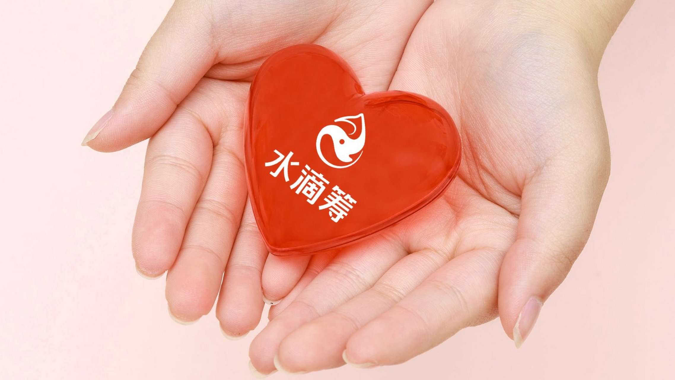 水滴筹,这个一直被公众信任的互联网筹款平台,如今却爆出巨额亏损的