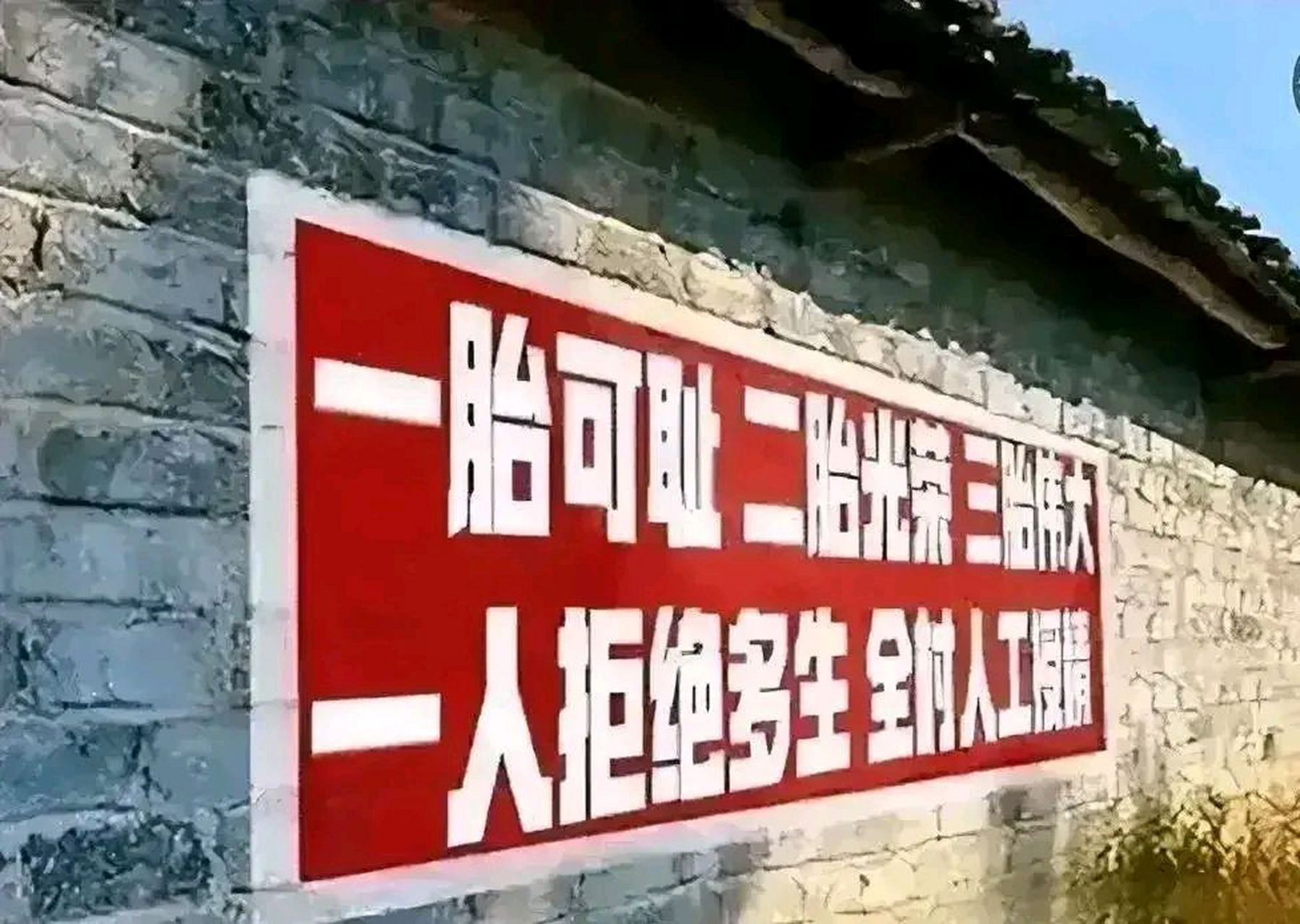 一胎可耻,二胎光荣,三胎伟大.一人拒绝多生,全村人工授精.