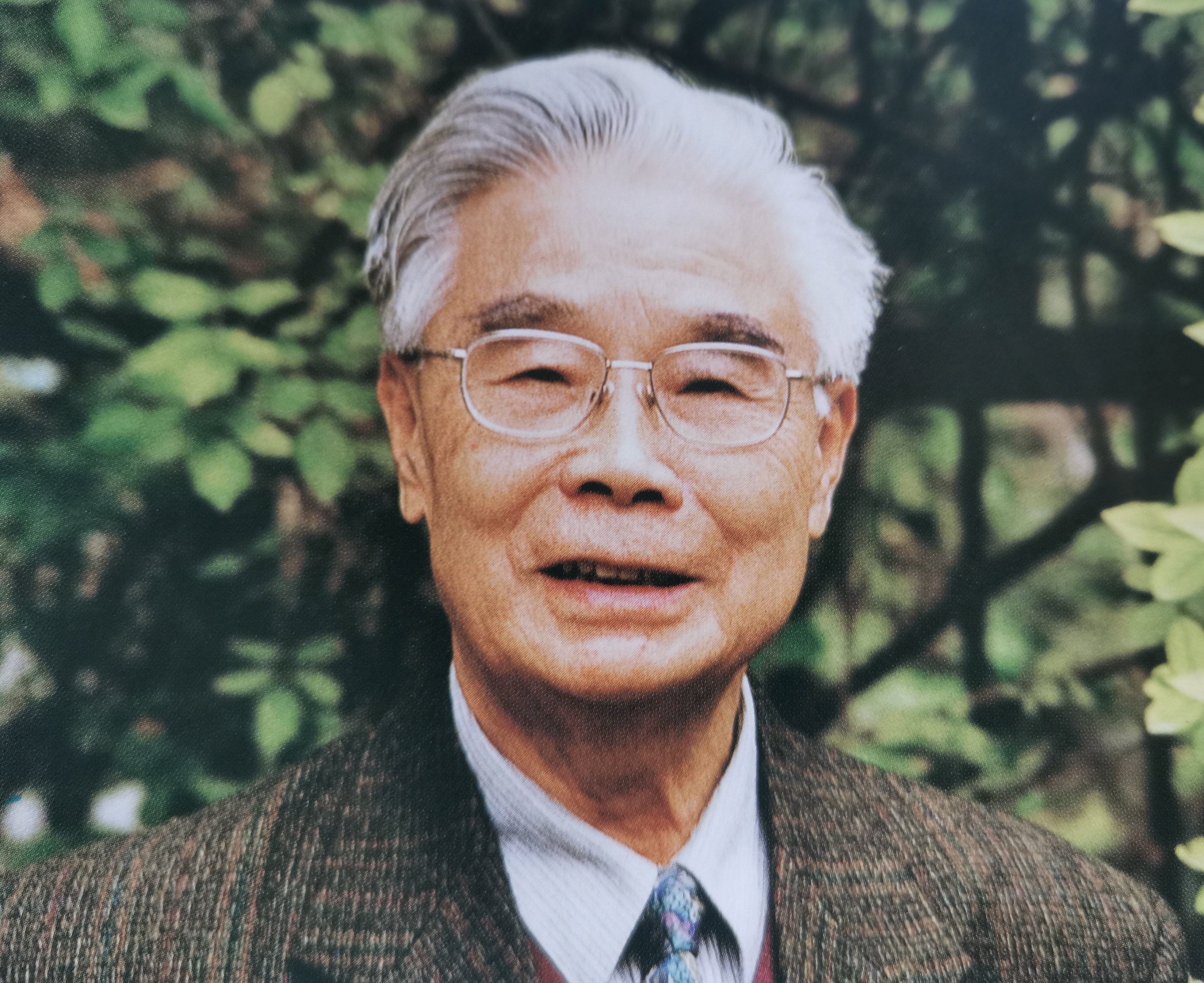 张世英:《归途》