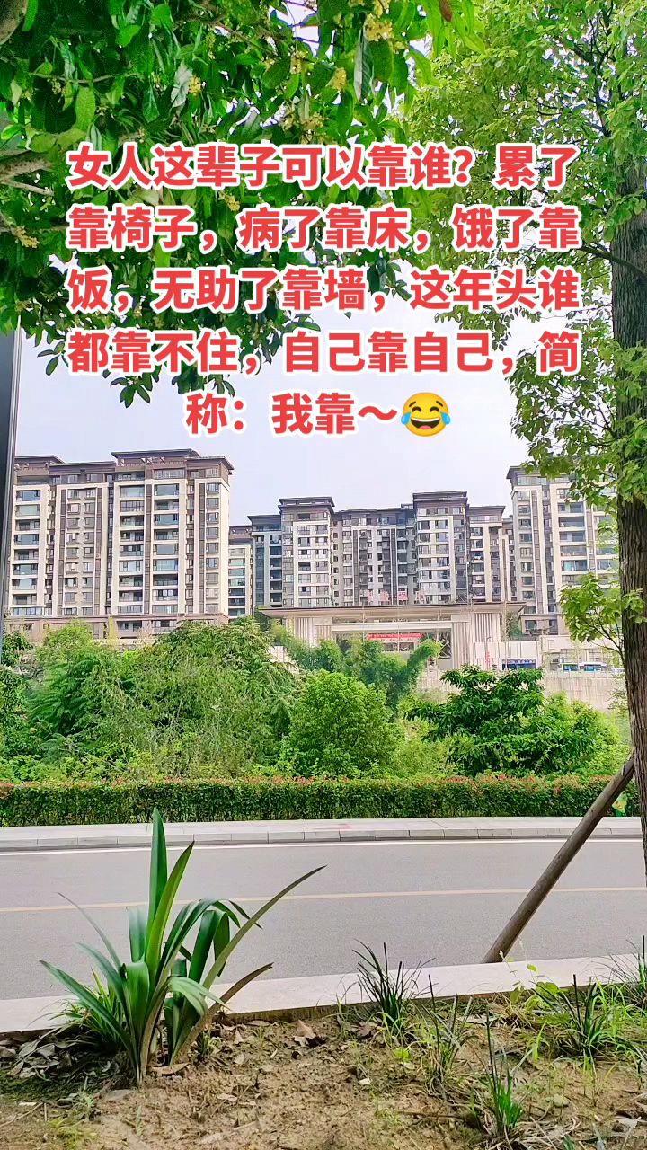 这年头谁都靠不住,自己靠自己,简称:我靠