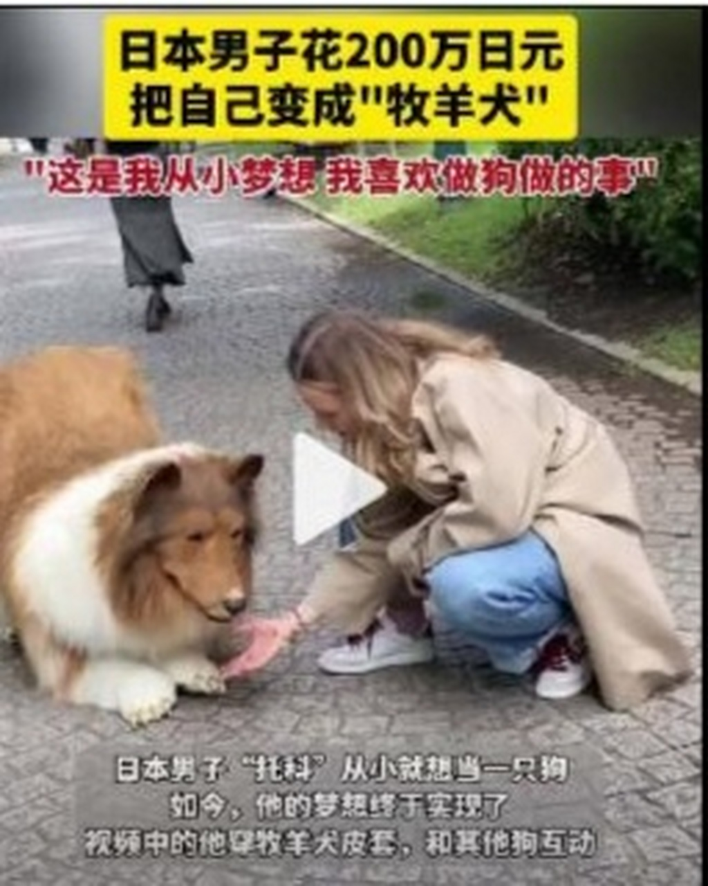 日本男子扮成狗去公园交狗朋友,网友:在不影响别人的情况下,做自己