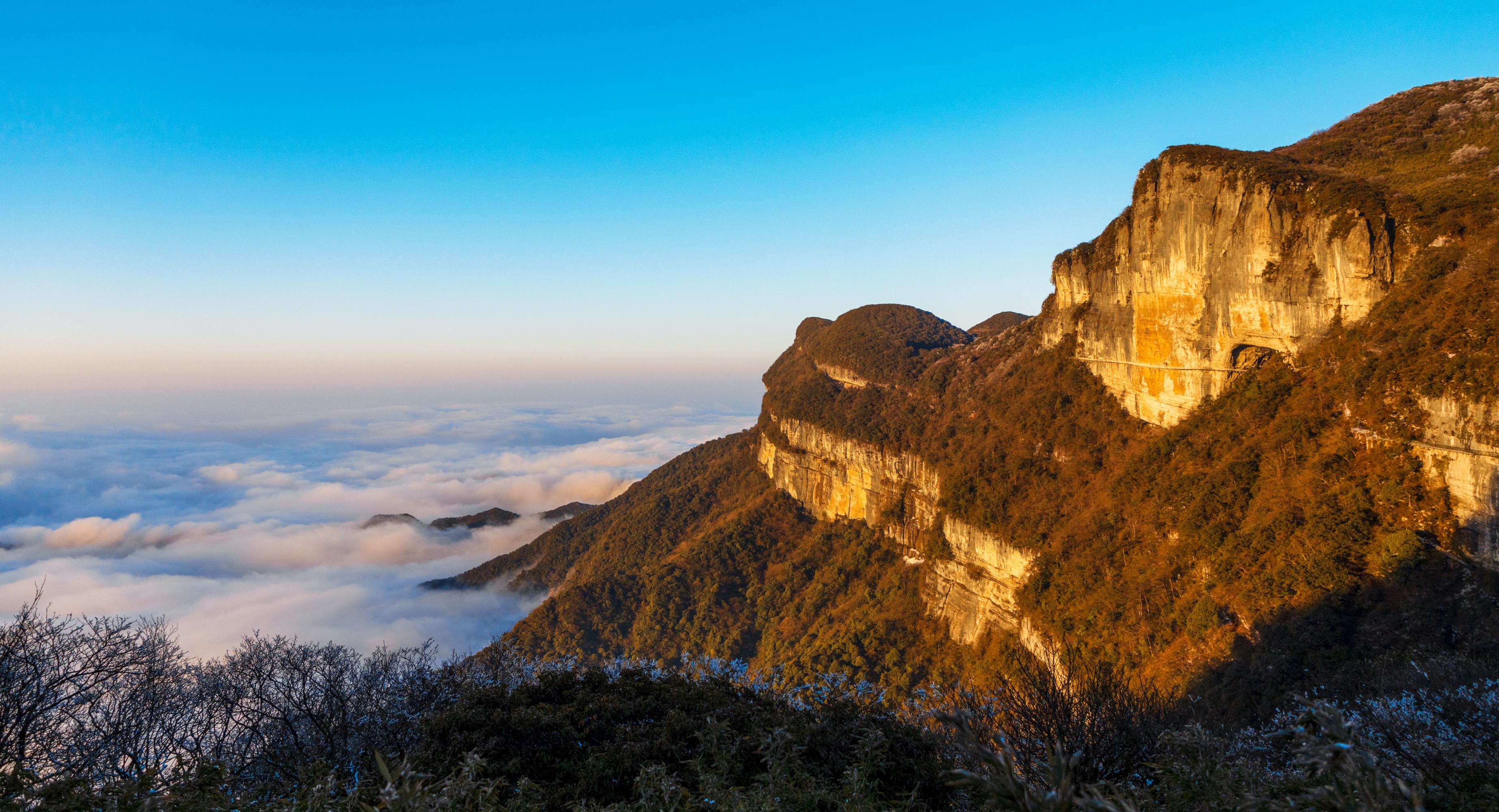 长青森林公园:重庆南川海拔最高的避暑房,1300米,夏季均温22