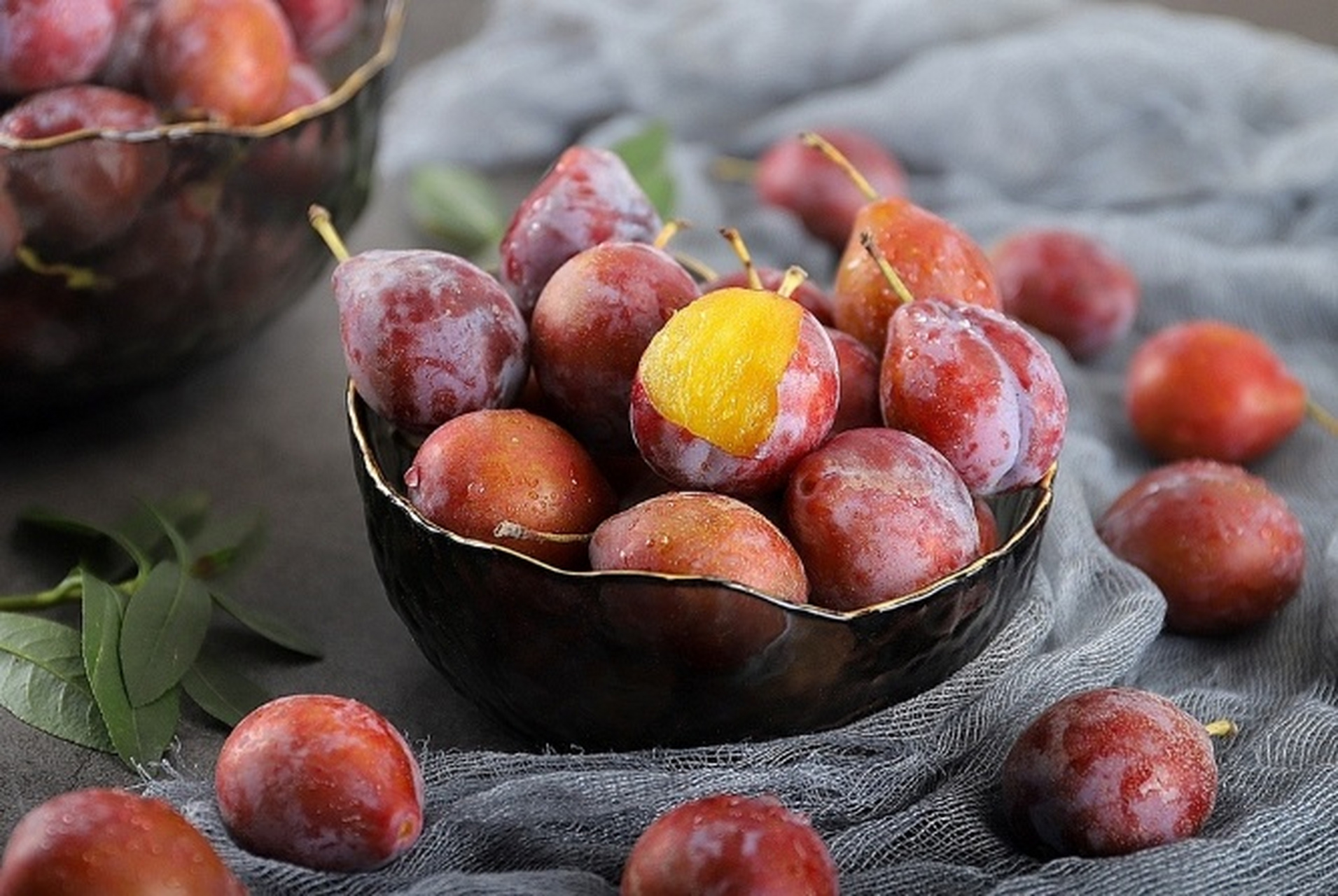 新疆法兰西小西梅,以其独特的魅力,被誉为来自新疆的"长寿果".瞧,那靓