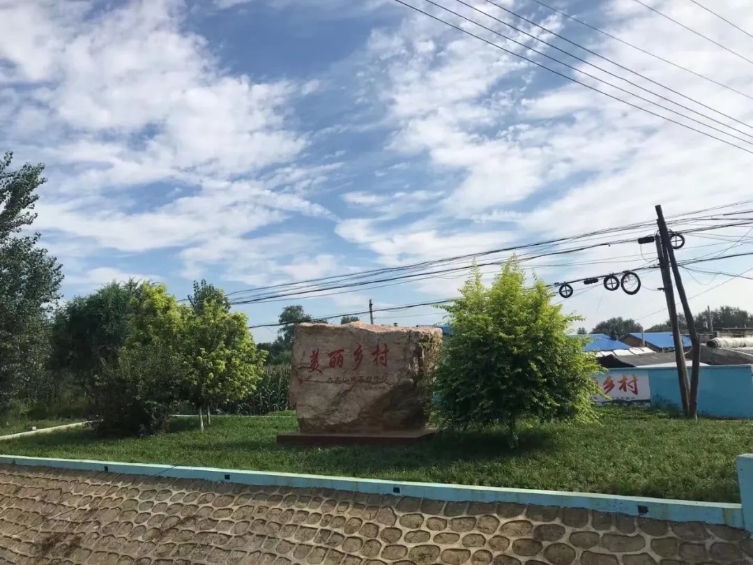 不忘初心 务实为民——大虎山街道五台子村党支部书记 司洪志