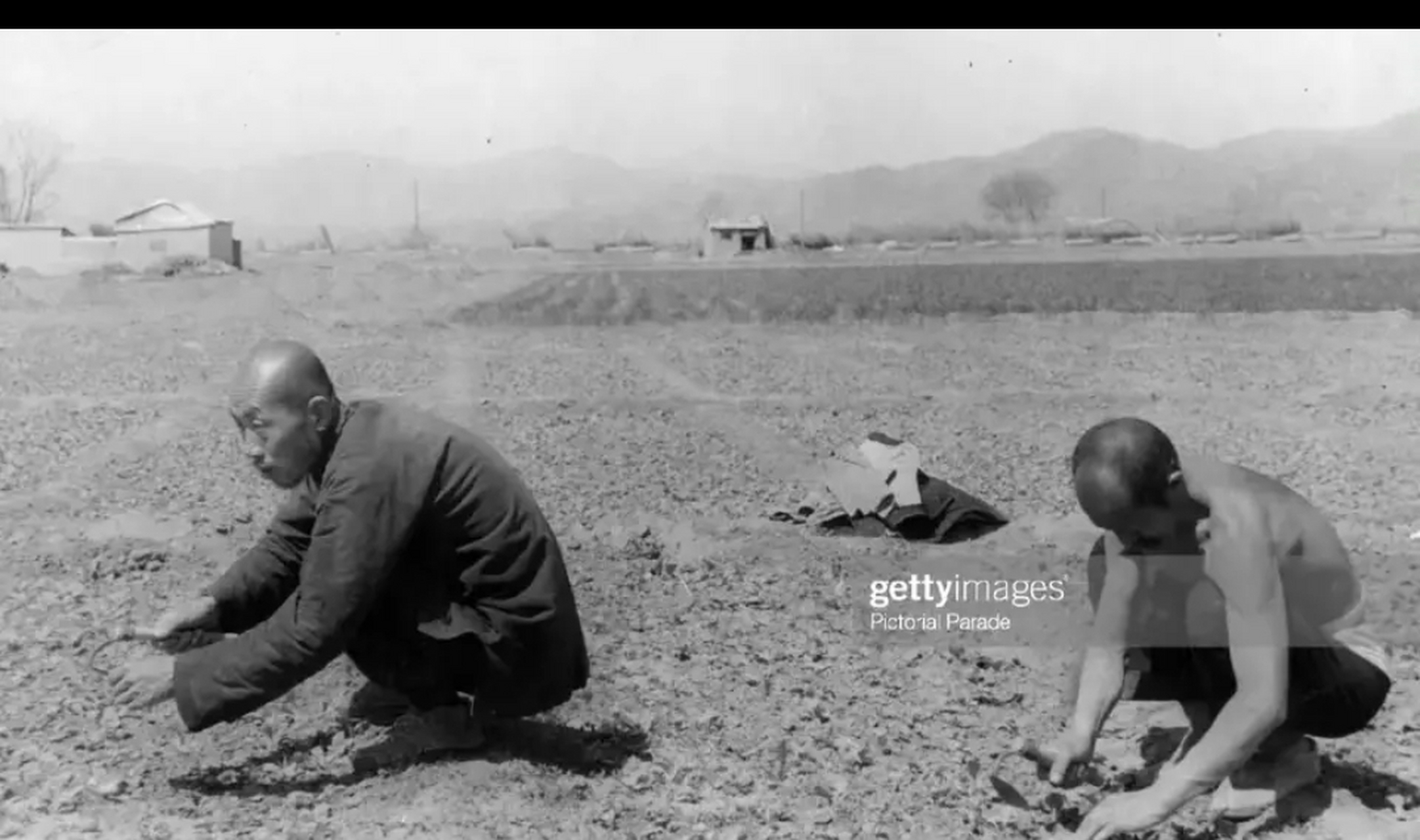 大部分农民都要租用地主的土地,农民经常自己到土里去刨食,找到一个小