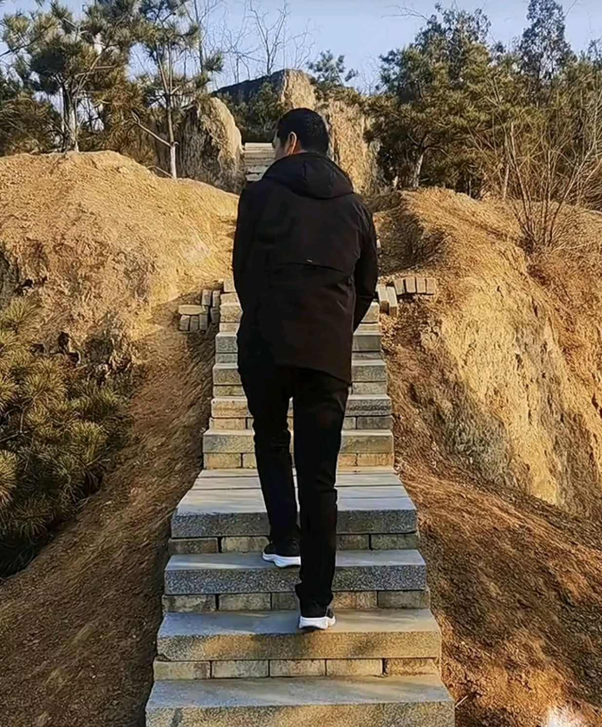 老吴的第二次春天