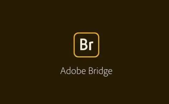 br安装包下载:图像资源综合管理软件下载 adobe bridge