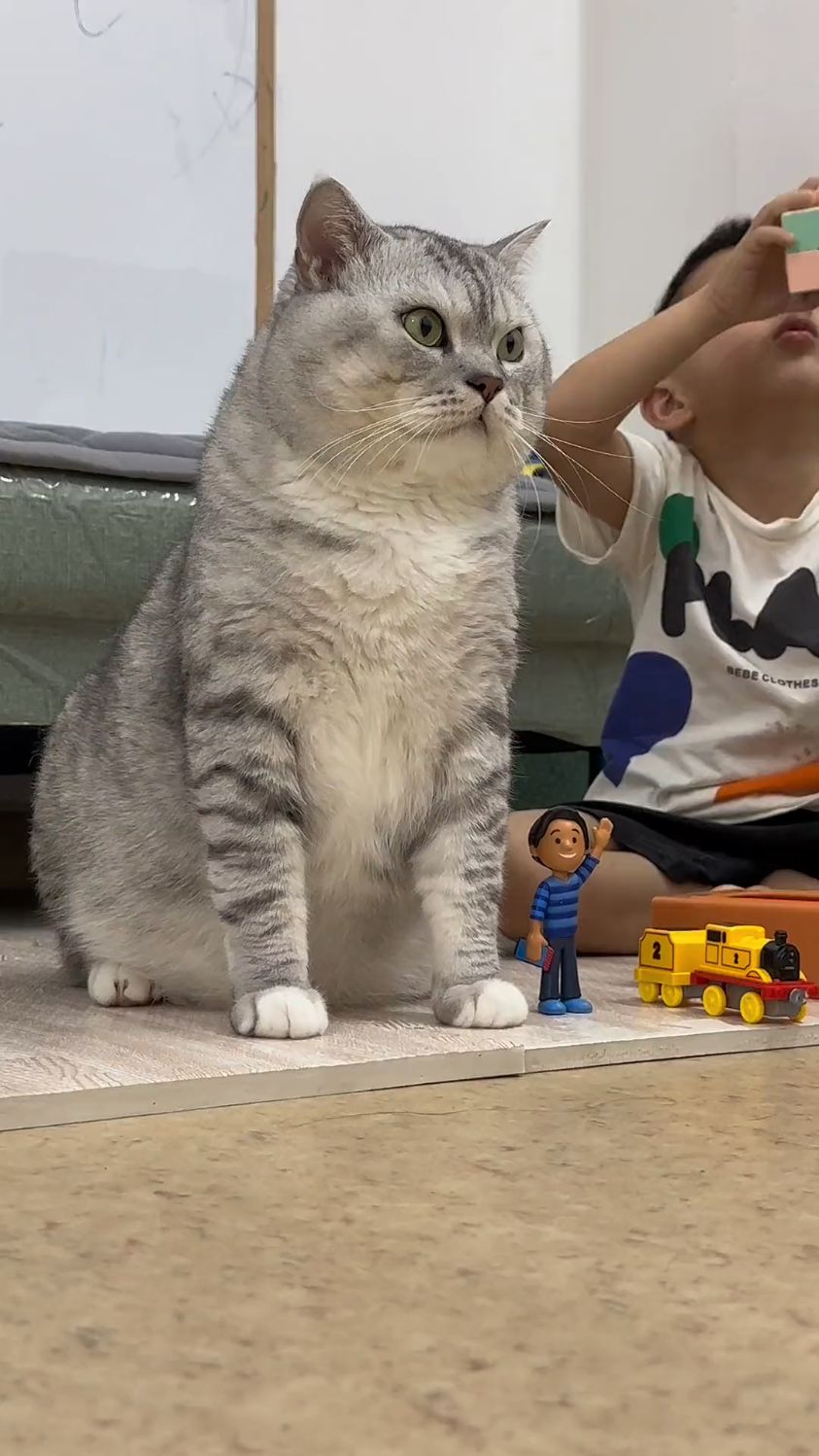 大壮好像定住了